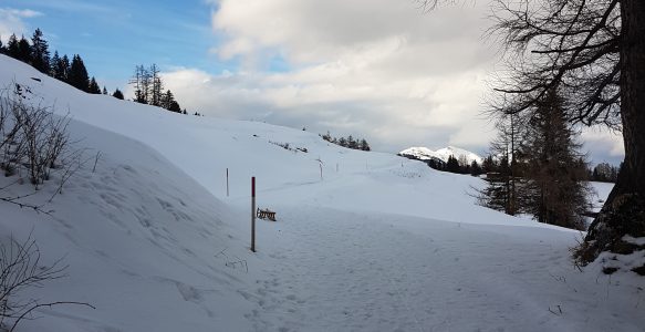 Allgemeine Geschäftsbedingungen